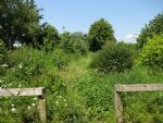 Biospheric Project Summer 2016